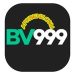 BV999 Game